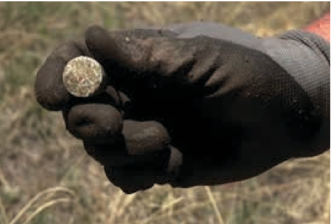 Agriform 20-10-5 w/micronutrients Planting Tablets 21 grams